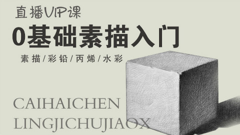 【史上最强画画教学】素描篇第14集(蔡海晨素描绘画手绘画画工作室出品)